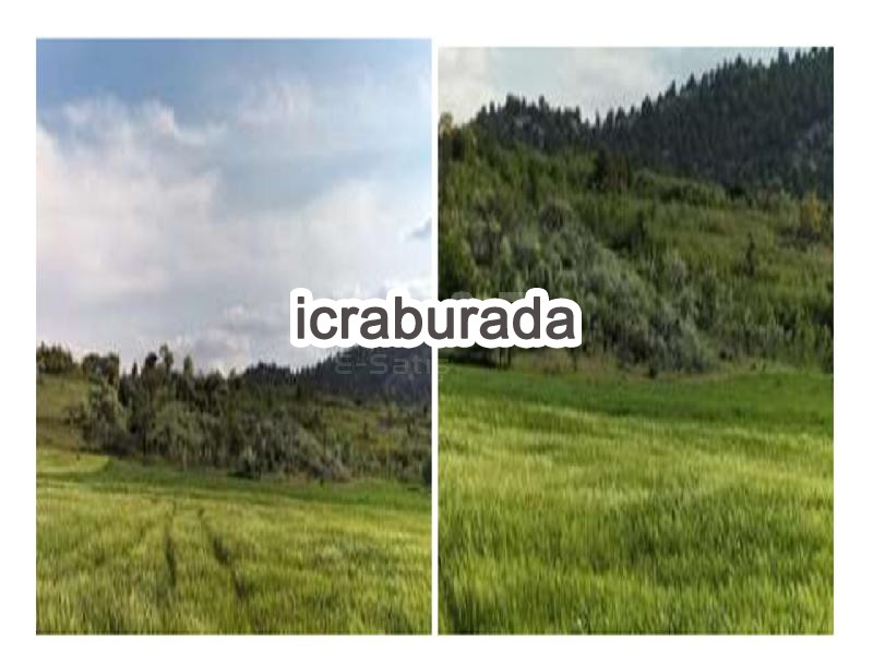 icralık  m2 Diger Konya Ahırlı Ahirli/merkez