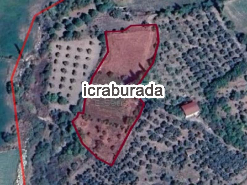 icralık  m2 Diger Aydın Bozdoğan Akçay