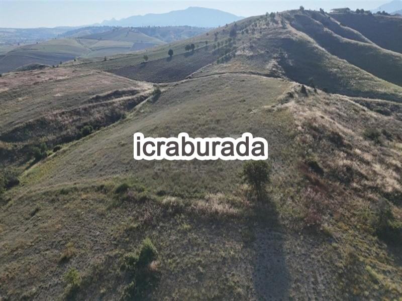 icralık  m2 Tarla Burdur Merkez Kozluca