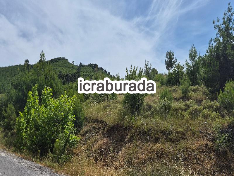icralık  m2 Tarla Çanakkale Bayramiç Evciler