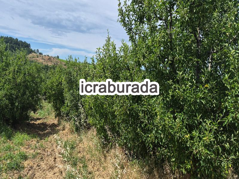 icralık  m2 Tarla Çanakkale Bayramiç Akçakil