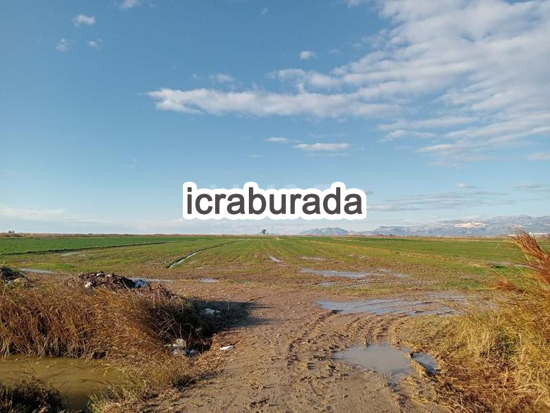 icralık  m2 Tarla Mersin Silifke Kurtuluş