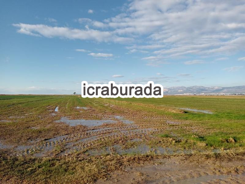 icralık  m2 Tarla Mersin Silifke Kurtuluş