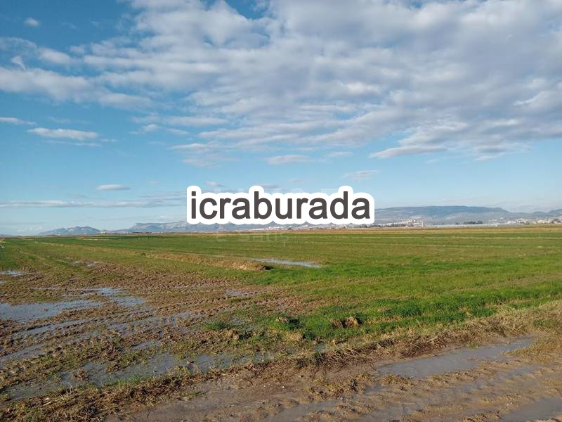 icralık  m2 Tarla Mersin Silifke Kurtuluş