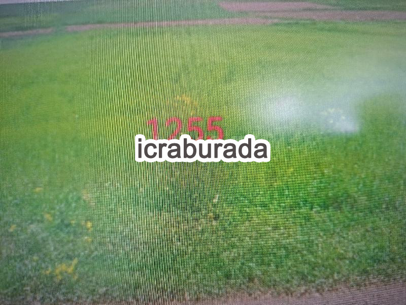 icralık  m2 Tarla Tokat Zile Özyurt
