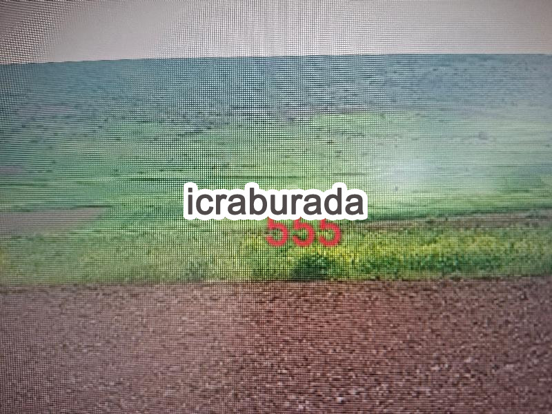icralık  m2 Tarla Tokat Zile Özyurt