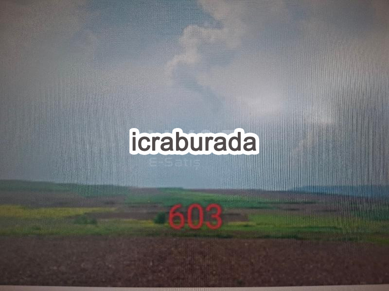 icralık  m2 Tarla Tokat Zile Özyurt