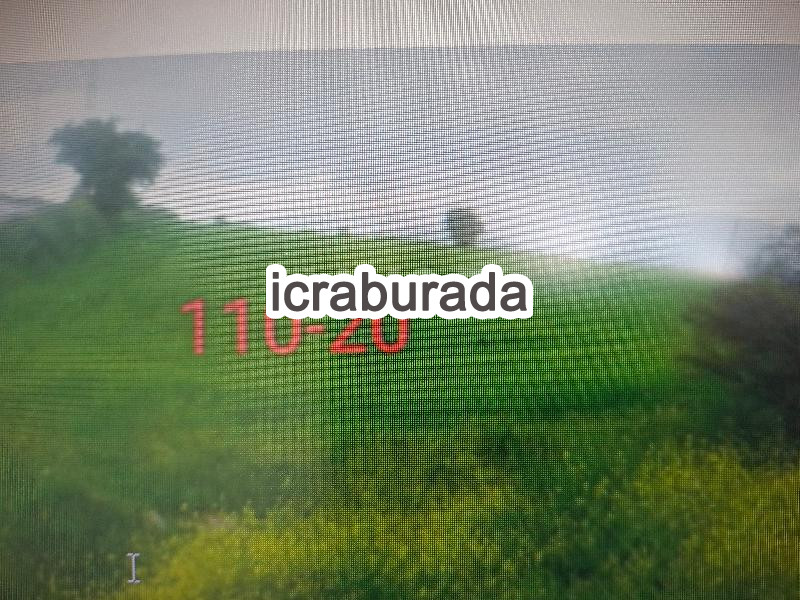 icralık  m2 Tarla Tokat Zile Özyurt