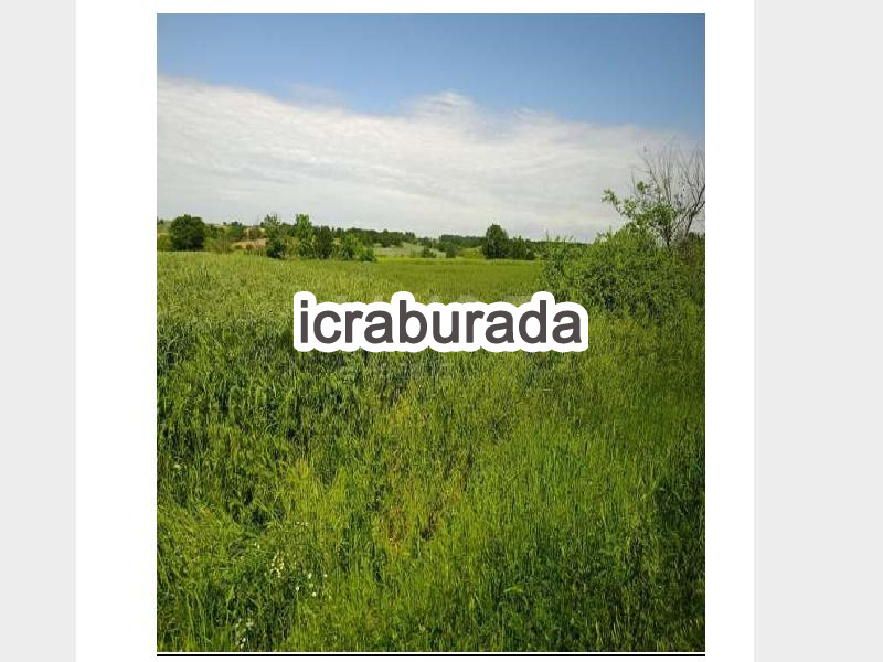 icralık  m2 Tarla Kırklareli Merkez Deveçataği