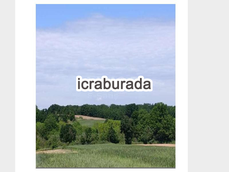 icralık  m2 Tarla Kırklareli Merkez Deveçataği