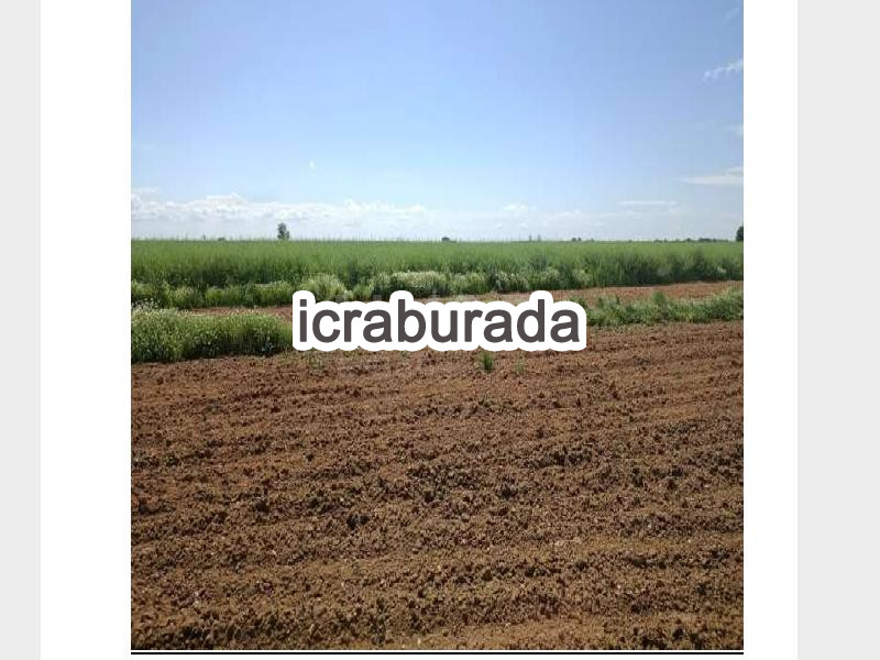 icralık  m2 Tarla Kırklareli Merkez Deveçataği