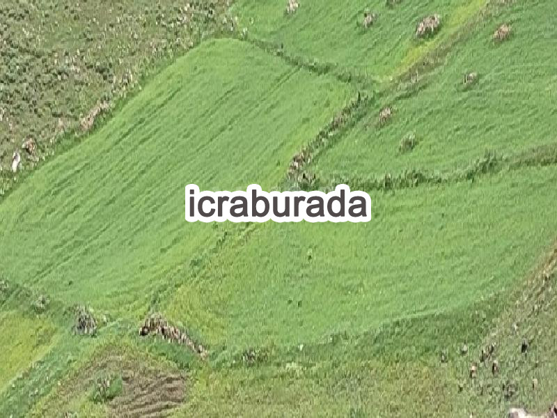 icralık  m2 Tarla Kars Kağızman Akören