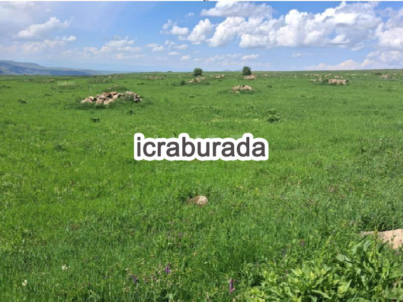 icralık  m2 Tarla Kars Kağızman Akören