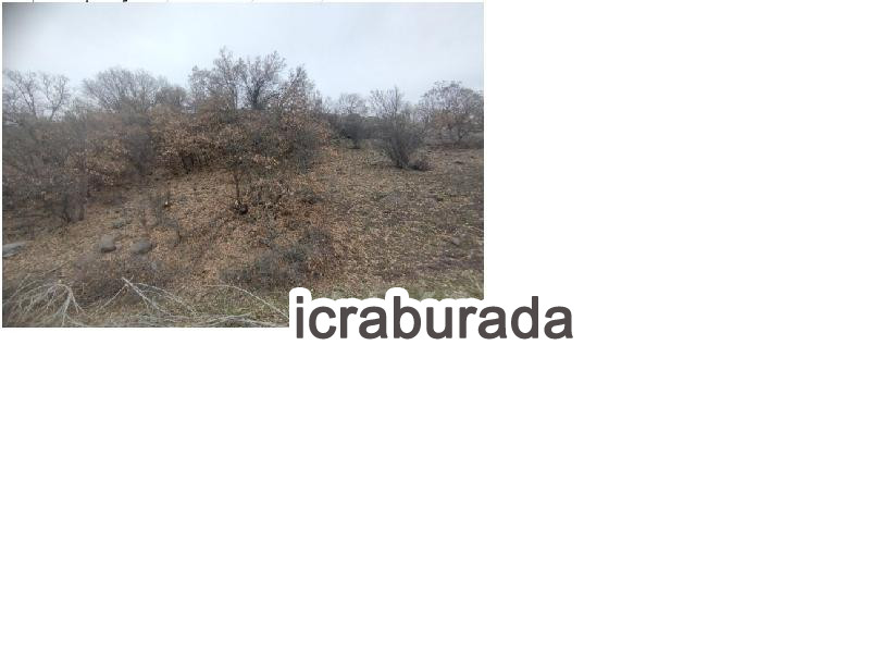 icralık  m2 Diger Ankara Kızılcahamam İğdir
