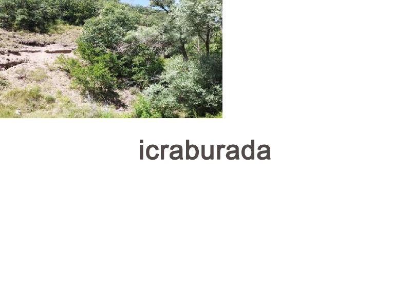 icralık  m2 Bag Ankara Kızılcahamam İğdir