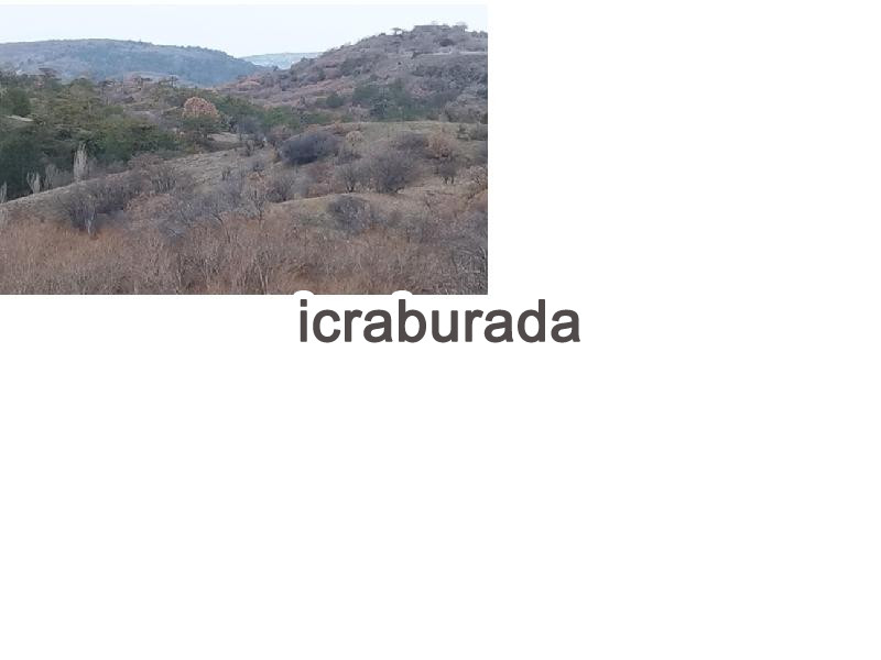 icralık  m2 Bag Ankara Kızılcahamam İğdir