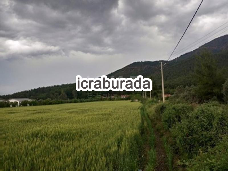 icralık  m2 Tarla Muğla Köyceğiz Toparlar