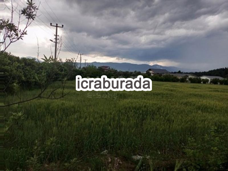 icralık  m2 Tarla Muğla Köyceğiz Toparlar