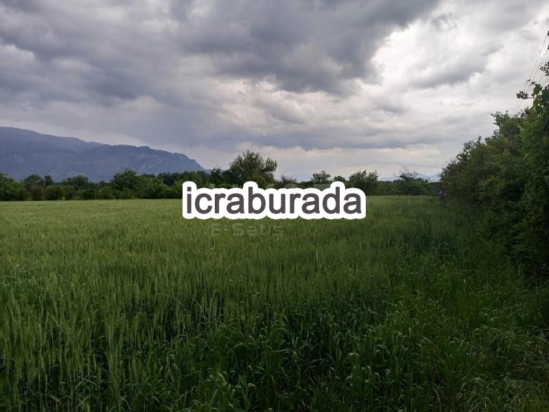 icralık  m2 Tarla Muğla Köyceğiz Toparlar