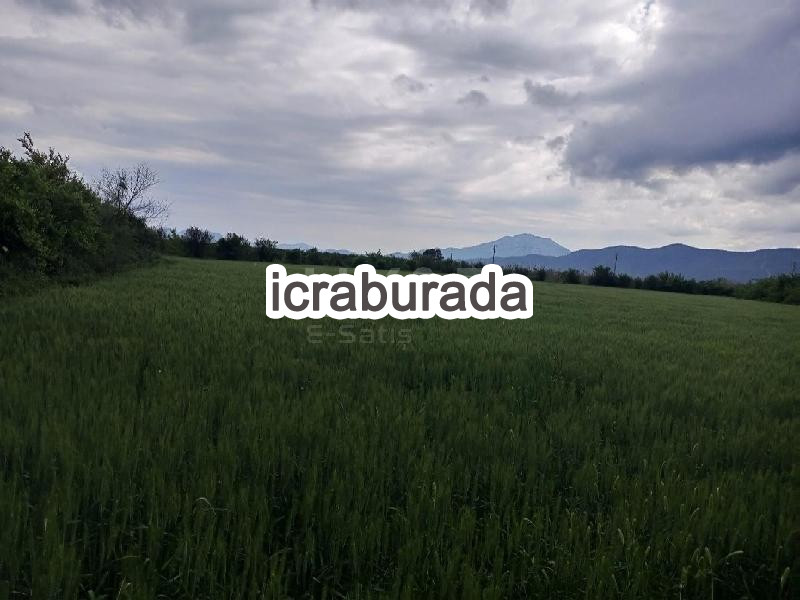 icralık  m2 Tarla Muğla Köyceğiz Toparlar