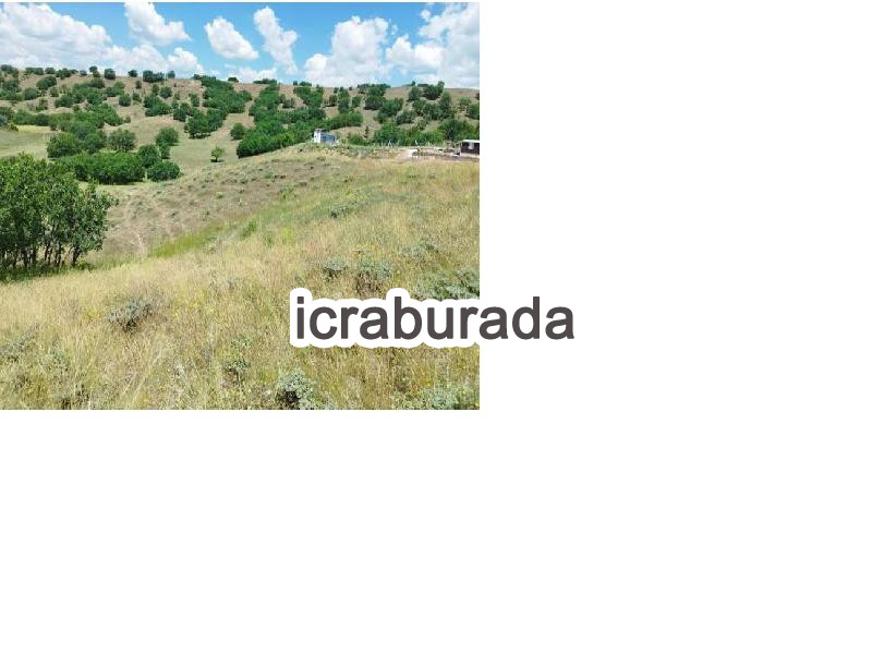 icralık  m2 Bag Ankara Kızılcahamam Pazar