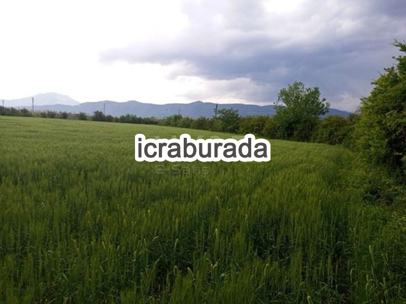 icralık  m2 Diger Muğla Köyceğiz Toparlar