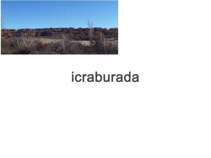 icralık  m2 Bag Ankara Kızılcahamam Akdoğan