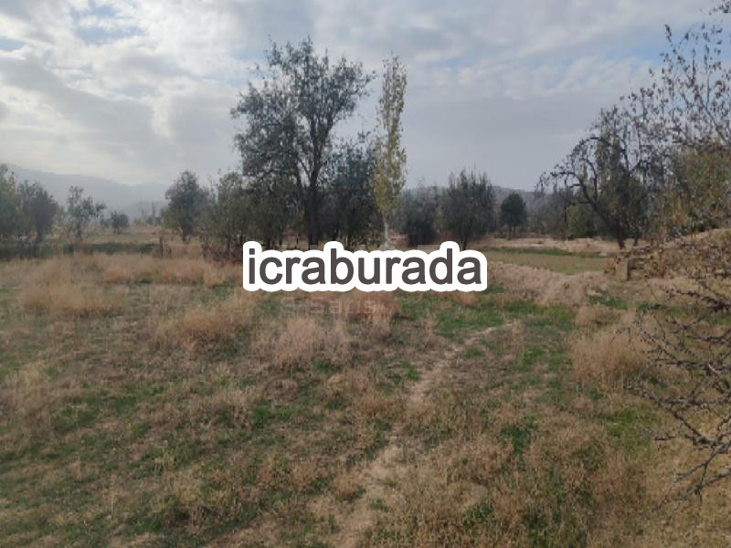 icralık  m2 Samanlik Afyonkarahisar Dazkırı Aşağiyenice