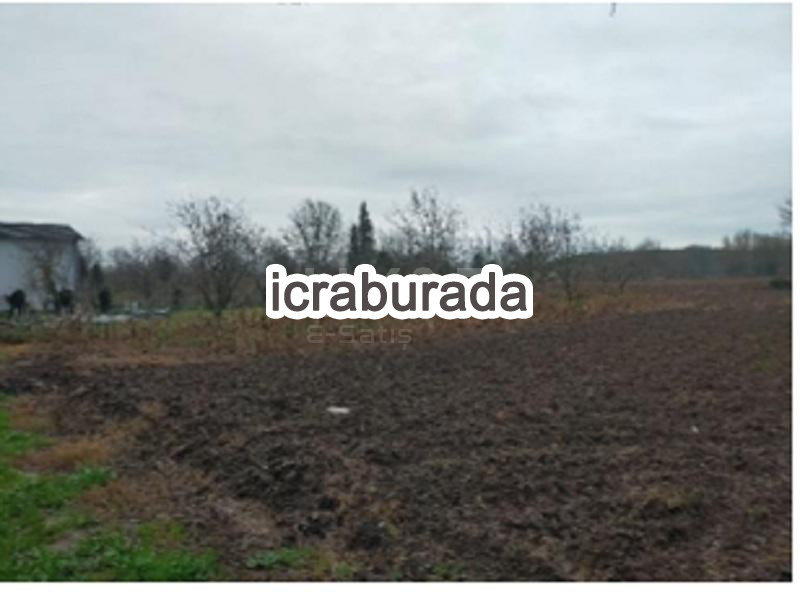 icralık  m2 Tarla Sakarya Adapazarı Çalticak