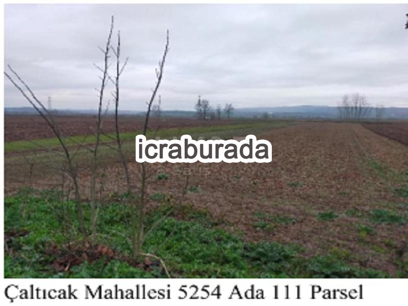 icralık  m2 Tarla Sakarya Adapazarı Çalticak
