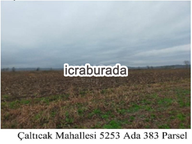 icralık  m2 Tarla Sakarya Adapazarı Çalticak