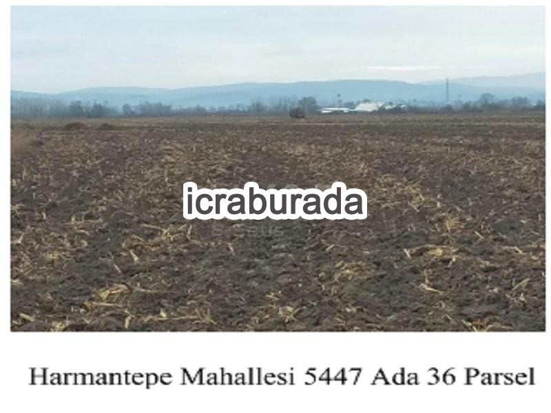 icralık  m2 Tarla Sakarya Adapazarı Harmantepe