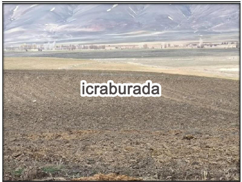 icralık  m2 Tarla Van Tuşba Yumrutepe
