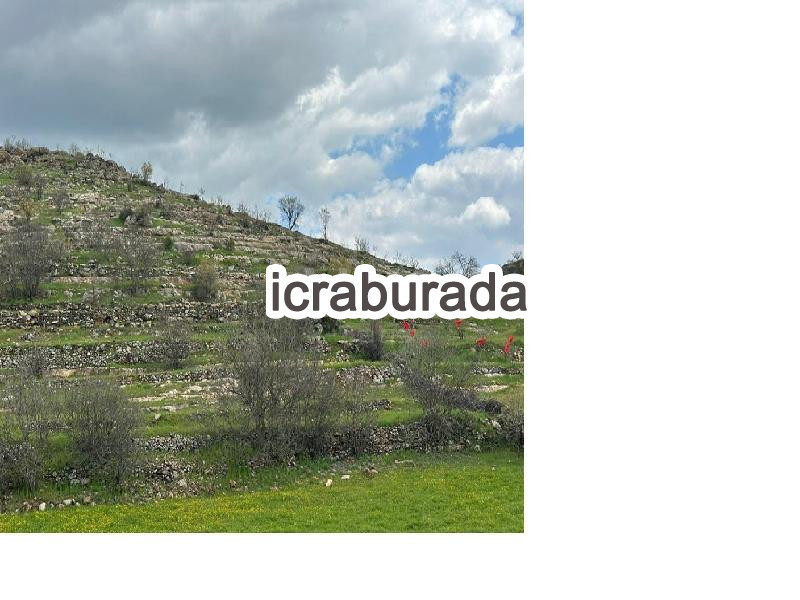 icralık  m2 Bag Mardin Ömerli Kayaballi