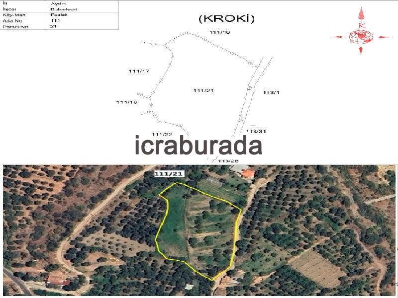 icralık  m2 Tarla Aydın Buharkent Feslek