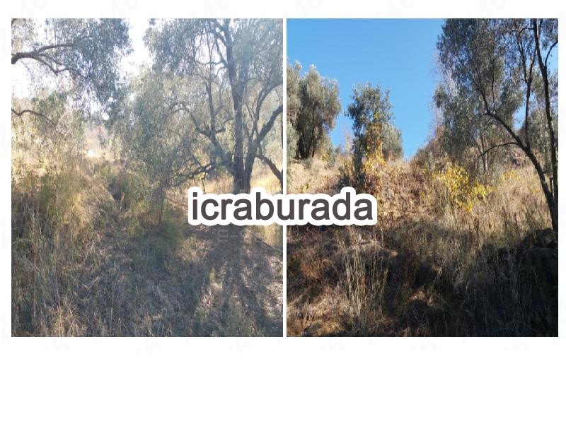 icralık  m2 Tarla İzmir Beydağ Çomaklar