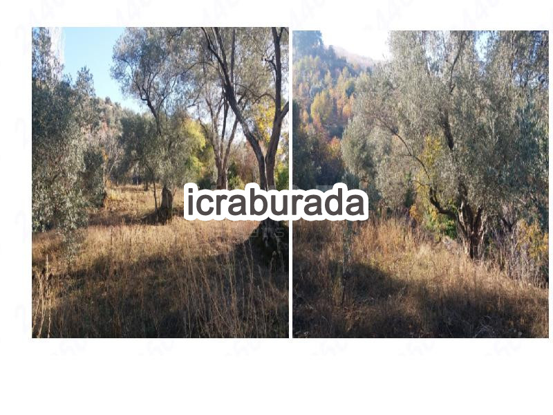 icralık  m2 Tarla İzmir Beydağ Çomaklar