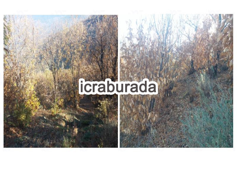 icralık  m2 Tarla İzmir Beydağ Çomaklar