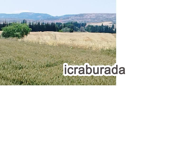 icralık  m2 Tarla Ankara Kahramankazan Yassiören