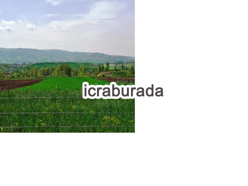 icralık  m2 Tarla Ankara Kahramankazan Uçari