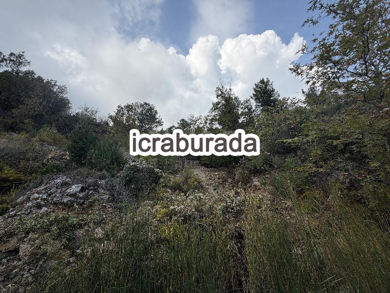 icralık  m2 Tarla Antalya Gazipaşa Karatepe