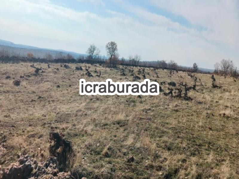 icralık  m2 Bag Mardin Midyat Sivrice