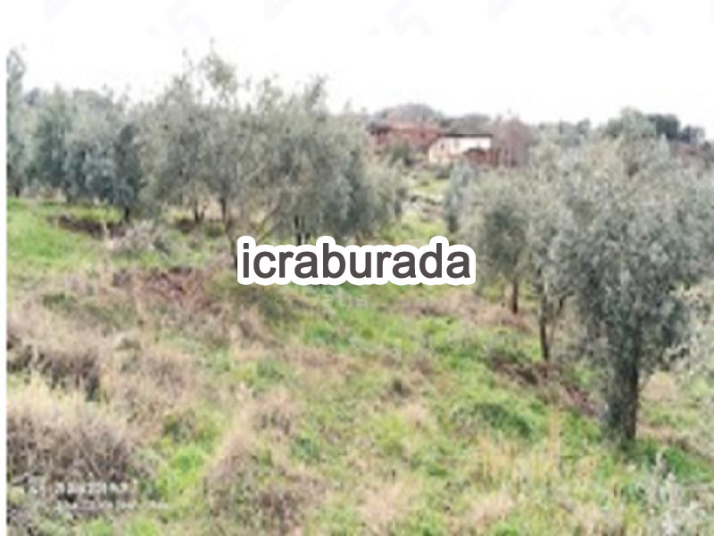 icralık  m2 Bag Manisa Alaşehir Göbekli