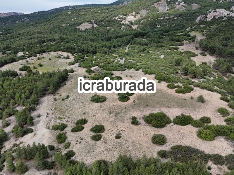 icralık  m2 Tarla Burdur Merkez Gökçebağ