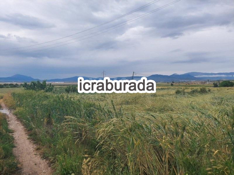 icralık  m2 Tarla Burdur Merkez Gökçebağ