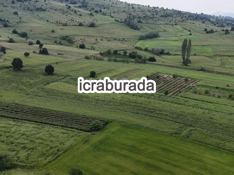 icralık  m2 Tarla Burdur Merkez Başmakçi