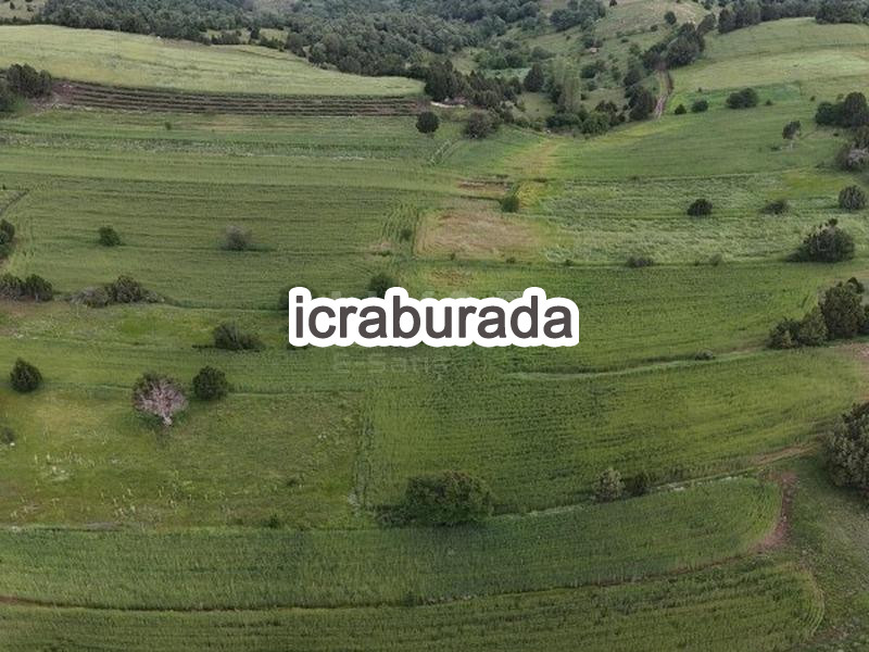 icralık  m2 Tarla Burdur Merkez Başmakçi