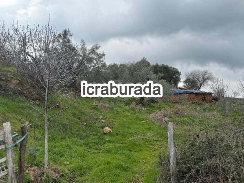 icralık  m2 Diger Manisa Alaşehir Göbekli