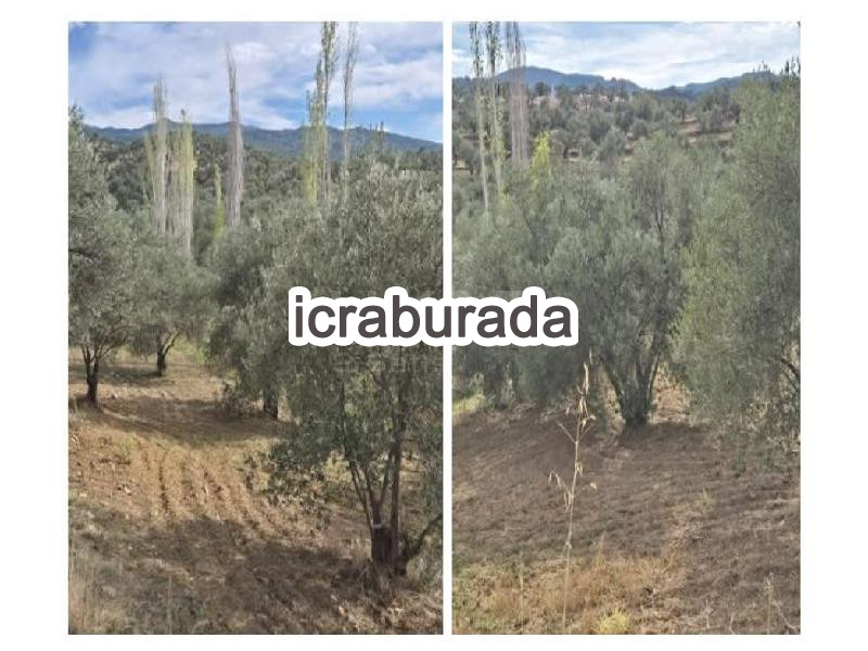icralık  m2 Tarla Balıkesir Burhaniye Kirtik