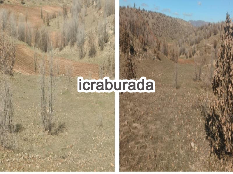 icralık  m2 Tarla Mardin Midyat Ziyaret